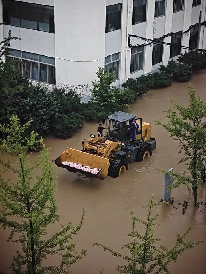 极目新闻：沈阳遭遇极端降水，一高校内部道路被淹，校方派铲车从食堂送千余份免费盒饭到宿舍楼